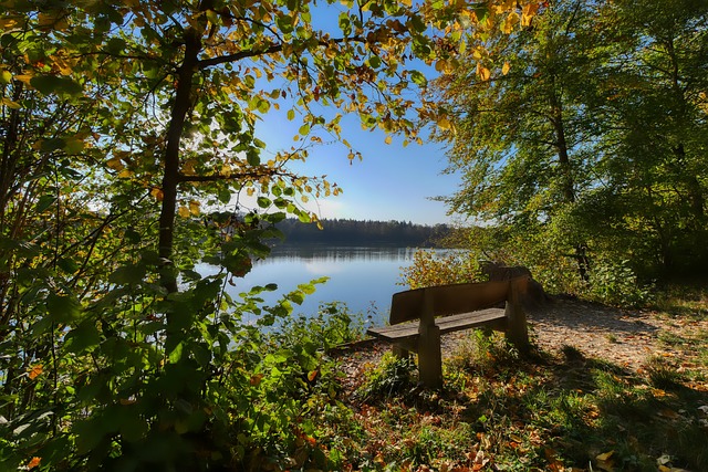 济上的考虑 济上的考虑