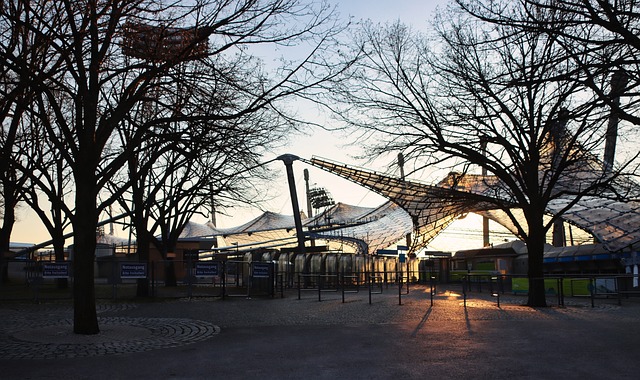 三名球员的 三名球员的