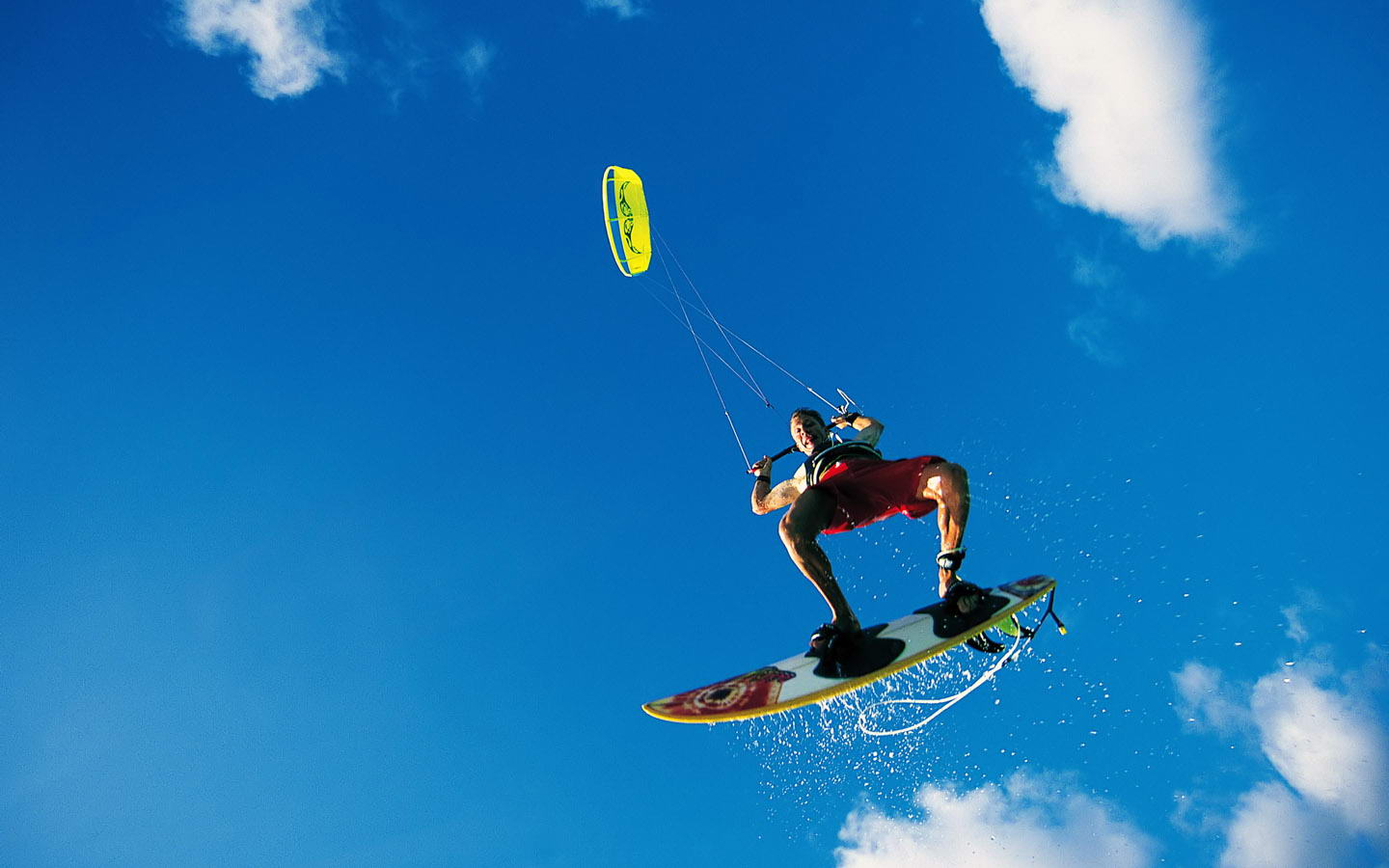 这也再次证 这也再次证