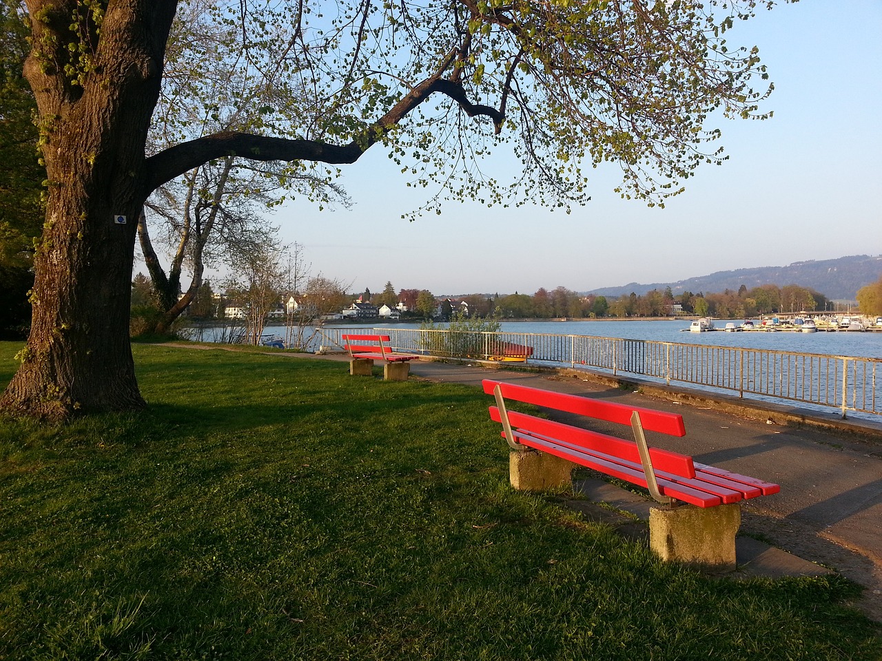 成高难度扣 成高难度扣