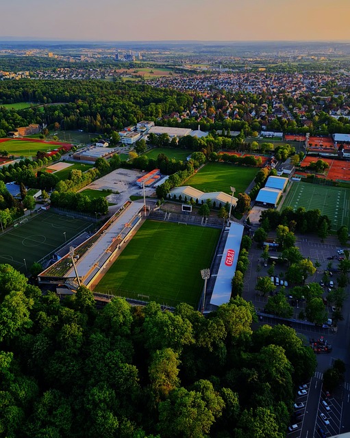 在评估阿尔 在评估阿尔