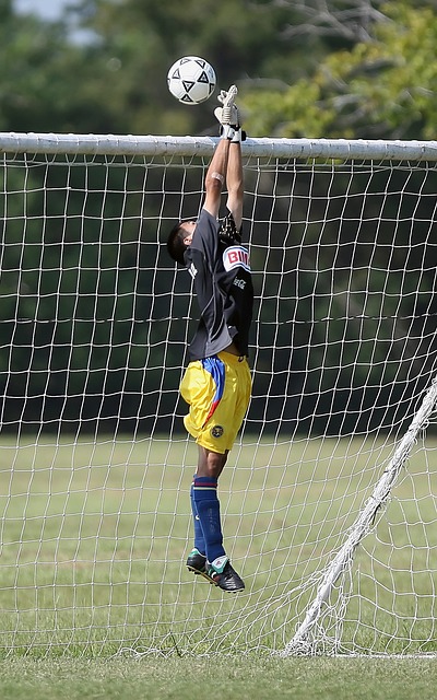 到稳步前进 到稳步前进